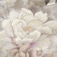 SIA グレー　百合に花丸文（【振袖・袋帯・長襦袢のセット商品です】）