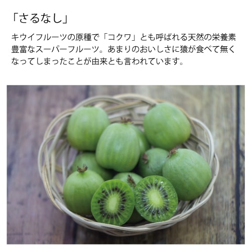 5N-057)さと雪のさるなしジュース200ml（単品）｜ゆのたにオンライン