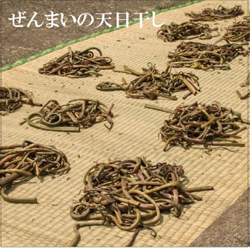 数量限定・なくなり次第終了》新潟魚沼産 天然山菜 天日干しぜんまい