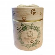 ���� ����