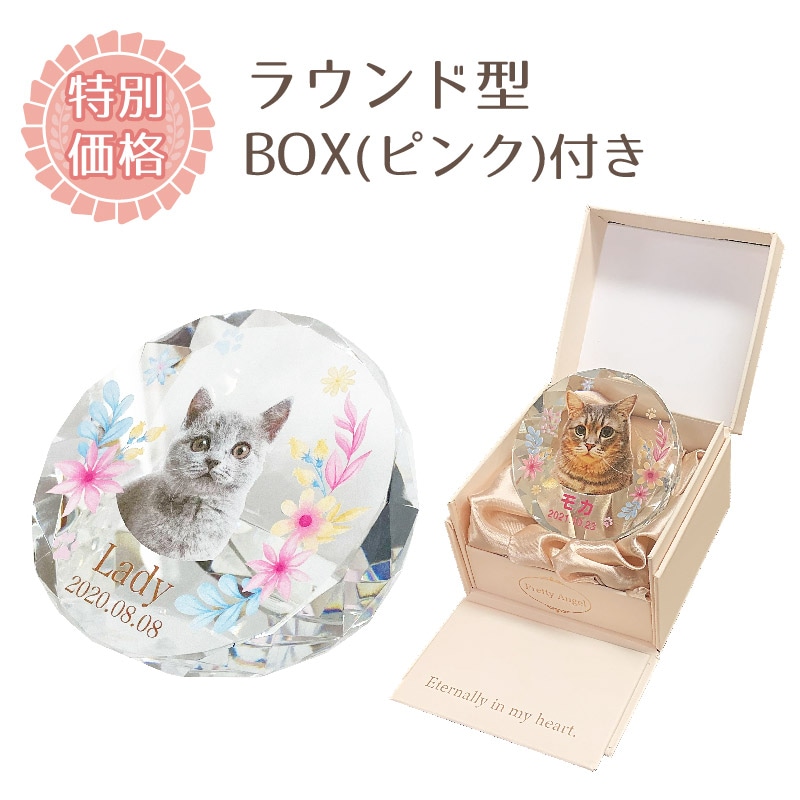 ǥ󥯥ꥹ(饦)  BOXԥ