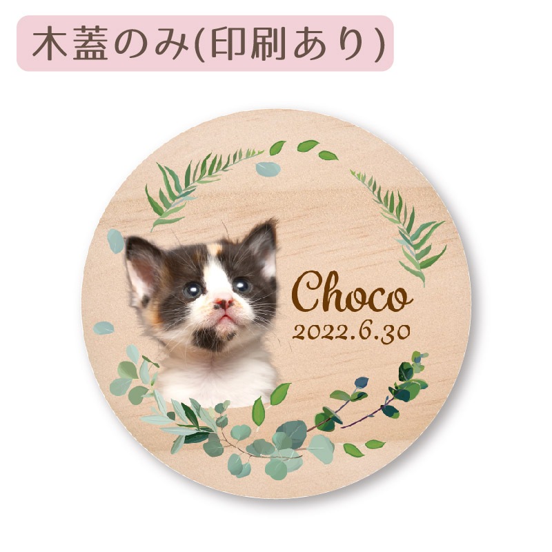 ŷ�Ȥα� �����ڹ����� �ڳ��Τ�(���������ᥤ�ɰ���)