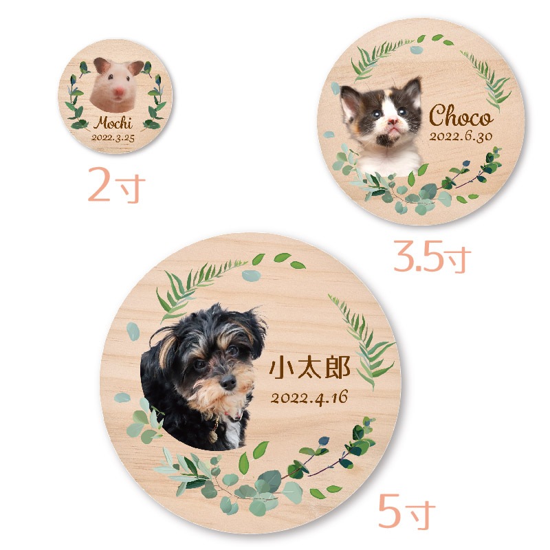 ŷ�Ȥα� �����ڹ����� �ڳ��Τ�(���������ᥤ�ɰ���)