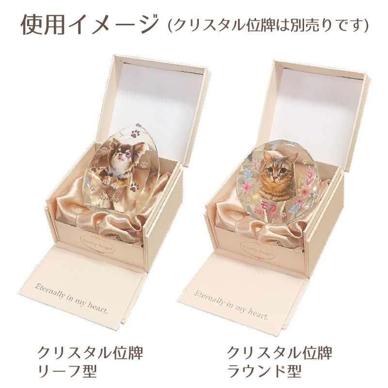 ���ꥹ��������� BOX�ԥ� ñ��