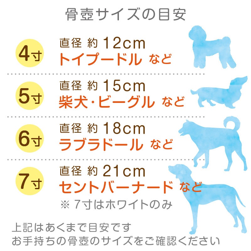 ������� ���ƥ� 2�� �ۥ磻�� �̥ͥ��ݥ��б���