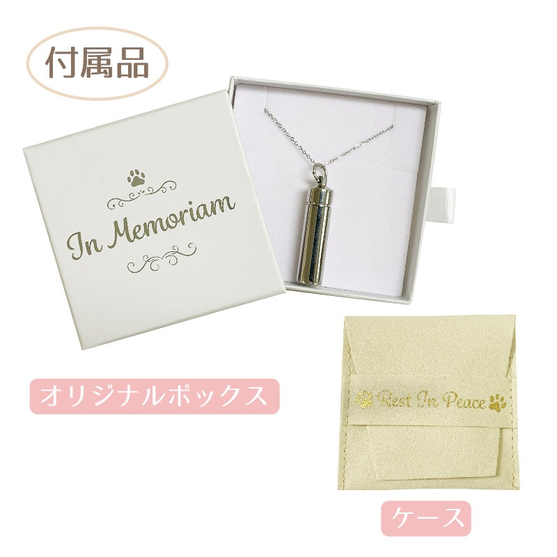 ����ͥå��쥹 (���饹����)