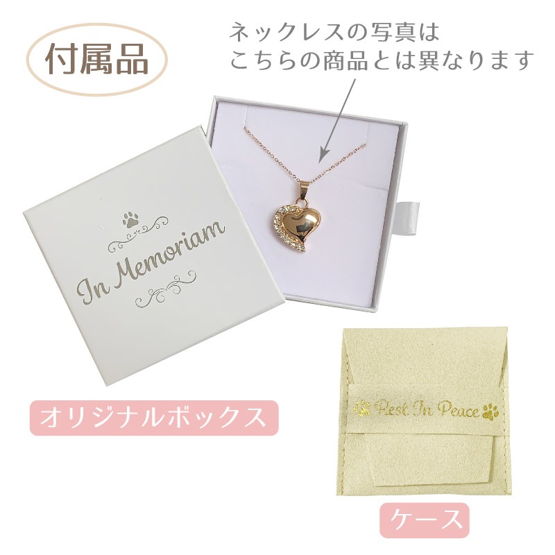 ����ͥå��쥹 (�ɥ��å�)