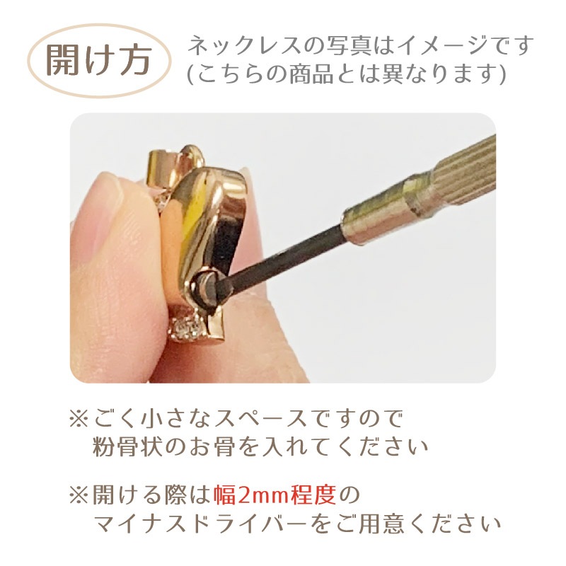 ����ͥå��쥹 (�ɥ��å�)