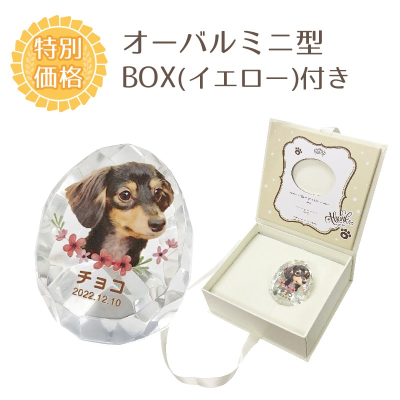 �ǥ����󥯥ꥹ�������(�����Х�ߥ�) BOX����������