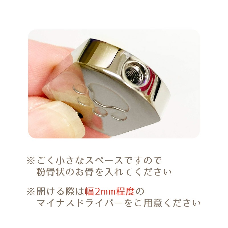 ������ץ��륭���ۥ���� (����)