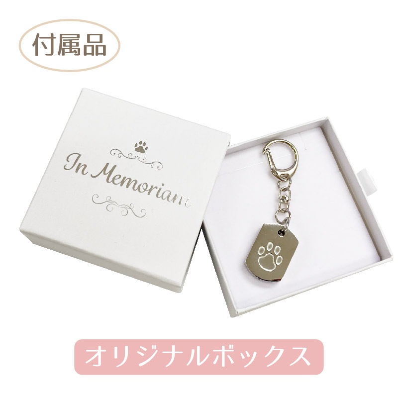 ������ץ��륭���ۥ���� (����)