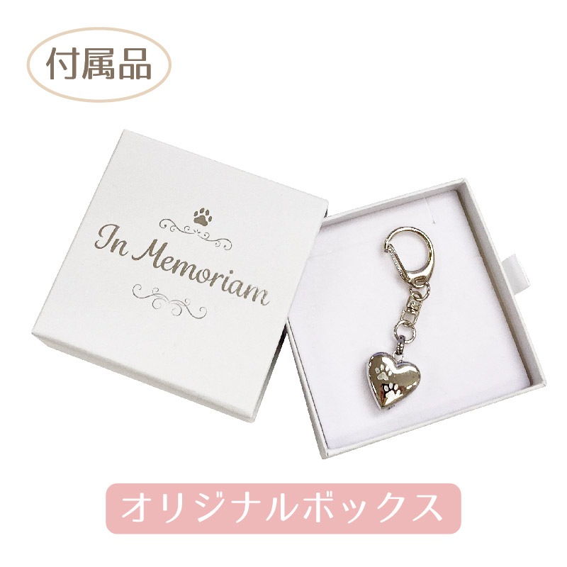 ������ץ��륭���ۥ���� (�ϡ��� �������ȹ��)