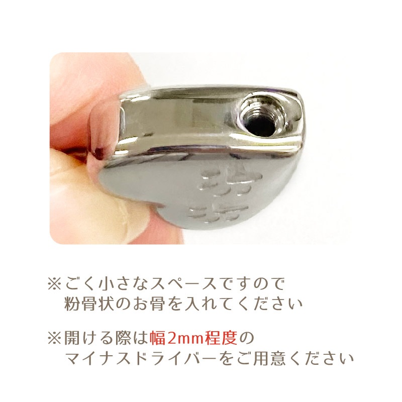 ������ץ��륭���ۥ���� (�ϡ��� �������ȹ��)