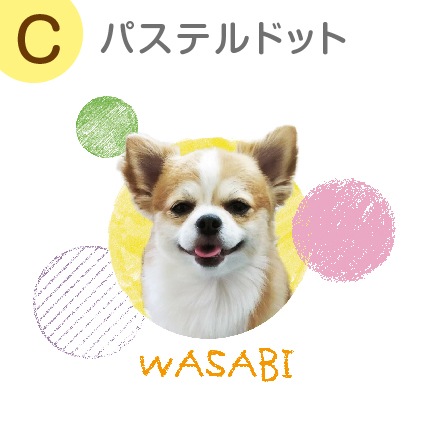 ꥸʥ륨Хå 