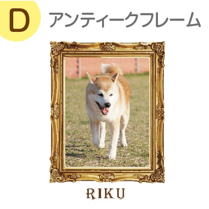 ꥸʥ륨Хå 
