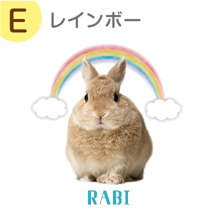 ꥸʥ륨Хå 