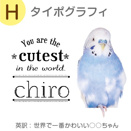 ꥸʥ륨Хå 