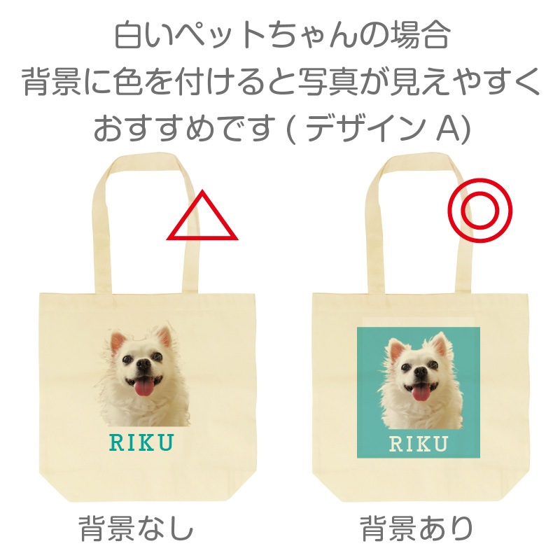 ꥸʥ륨Хå 