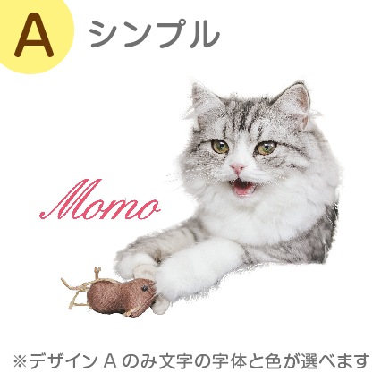 ꥸʥ륨Хå 