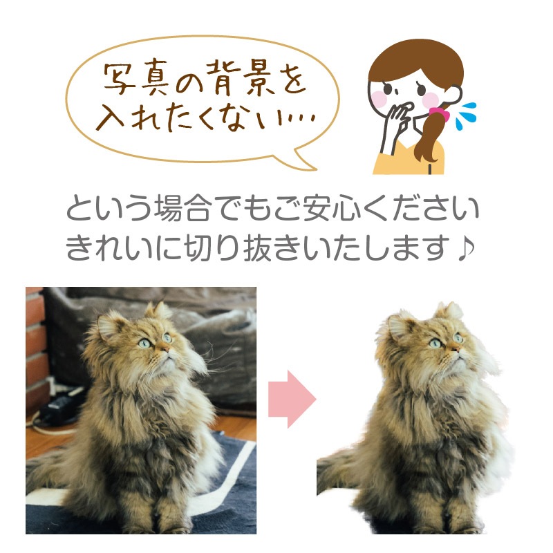ꥸʥ륨Хå 