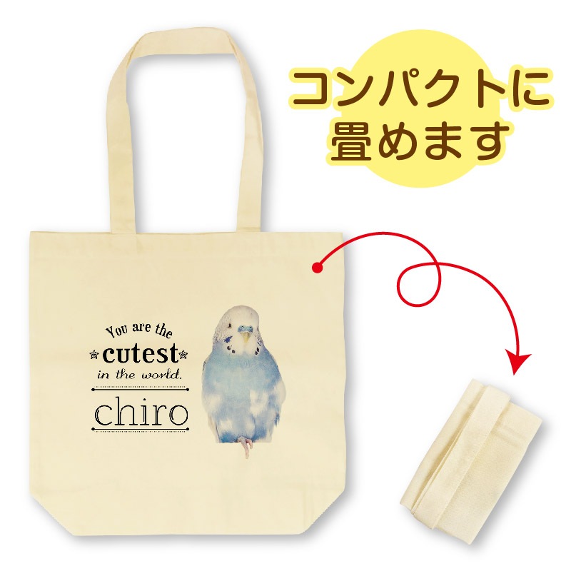 ꥸʥ륨Хå 