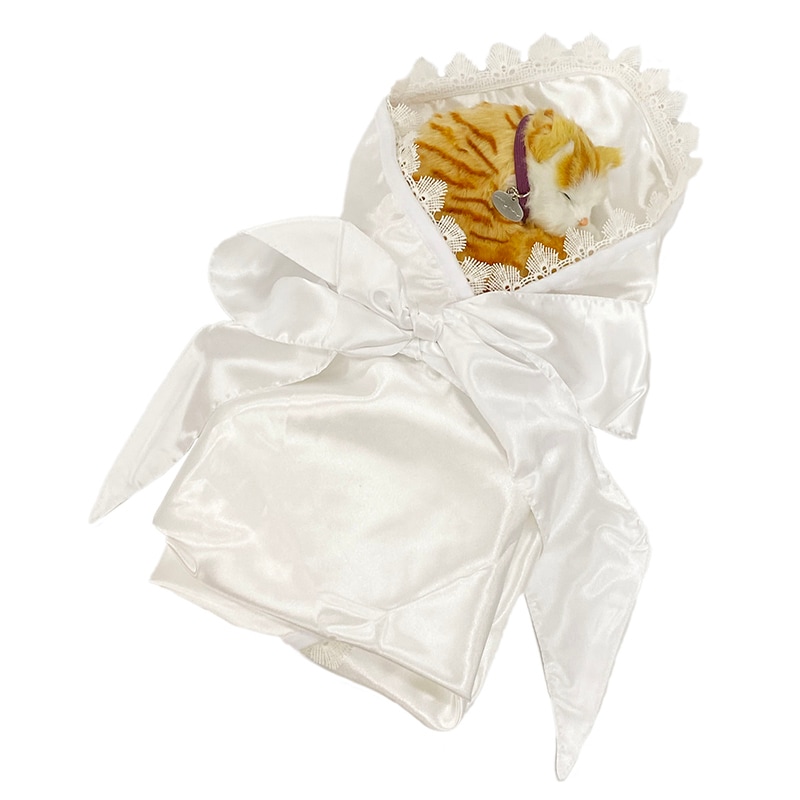 ŷ�ȤΤ����������