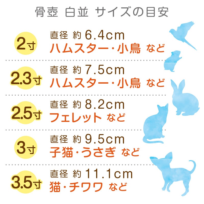 ���� ���¥����Υߡ������� 2.5�� �ۥ磻��