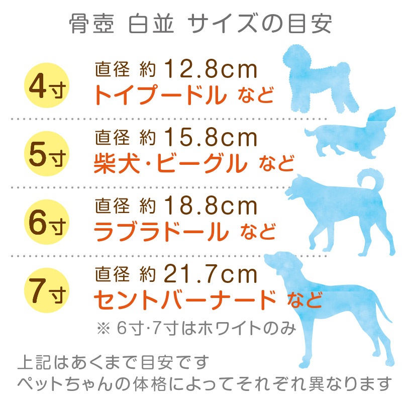 ���� ���¥����Υߡ������� 2.5�� �ۥ磻��