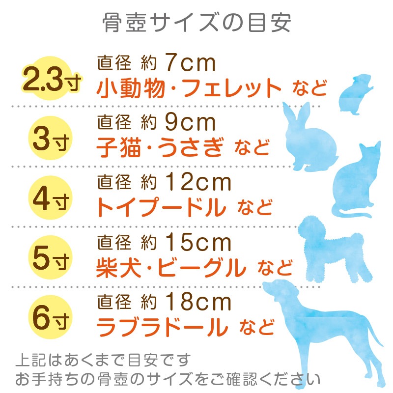 ������� �����졼�� ���� �֥롼�̥ͥ��ݥ��б���