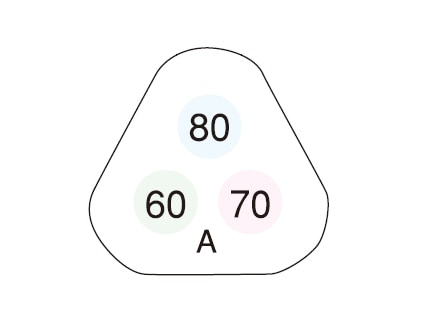 サーモカラーセンサー H80E （3点式・80-90-100℃）