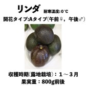   󥰥ݥå () Lindaåܥ