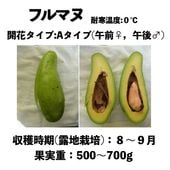 եޥ (A)  󥰥ݥå () Hulmanuåܥ