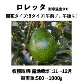 ����å� (B) ���� ������󥰥ݥå� (����) Loretta�å��ܥ�������