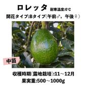 0℃