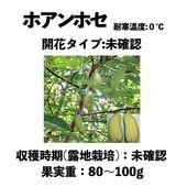 ۥۥ  󥰥ݥå () Joan Joseåܥ