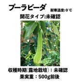 סӡ  󥰥ݥå () Pura Vidaåܥ