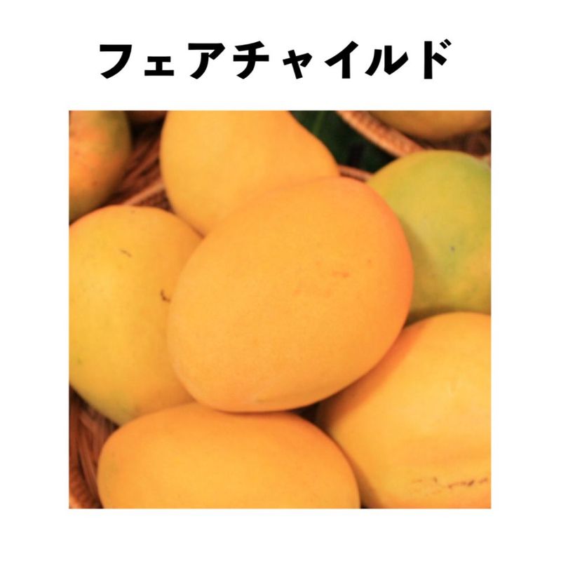 ե㥤 ݥå ġڡ Fairchildåޥ󥴡