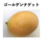 ǥʥå ݥå  () Golden Nuggetåޥ󥴡