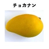 ���祫�ʥ� ����ݥå� ����  (����) Choc-anon�åޥ󥴡�����