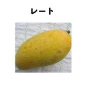 �졼�ȡ���̾��åɡ� ����ݥå� ���ġ����ڡ� Rad�åޥ󥴡�����