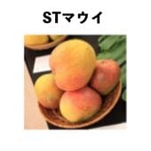 �ӣԥޥ��� ����ݥå� ���� �����ڡˡåޥ󥴡�����