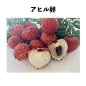 ���ҥ��� ���桡���� (�����)�å쥤���ʥ饤��������
