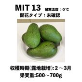 MIT13  󥰥ݥåȡڡMIT13åܥ