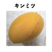 ��̪�ʥ���ߥġ� ����ݥå� ���� (����) kinmitsu�åޥ󥴡�����