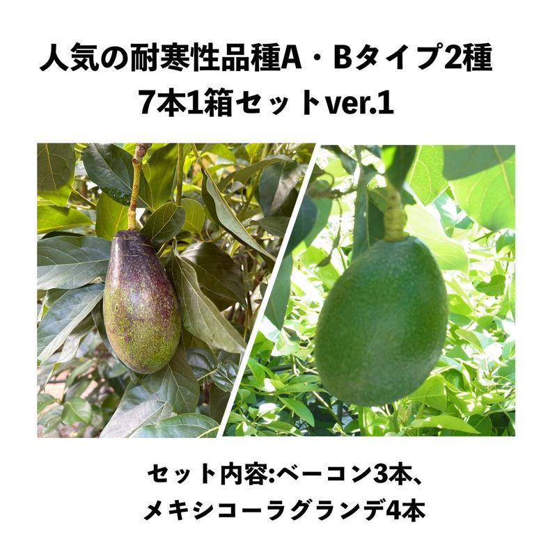 ͵ι⤤ѴABףܣȢåver.1ʥᥭ饰ǣ,١ܡˡåܥ