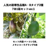 ͵ι⤤ѴABףܣȢåver.1ʥᥭ饰ǣ,١ܡˡåܥ