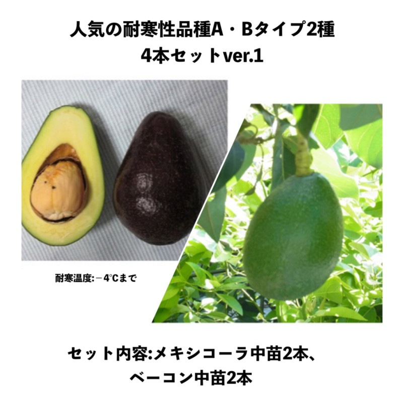 インドネシア ボルネオ産 沈香 40g インドネシア ボルネオ産 沈香 40g
