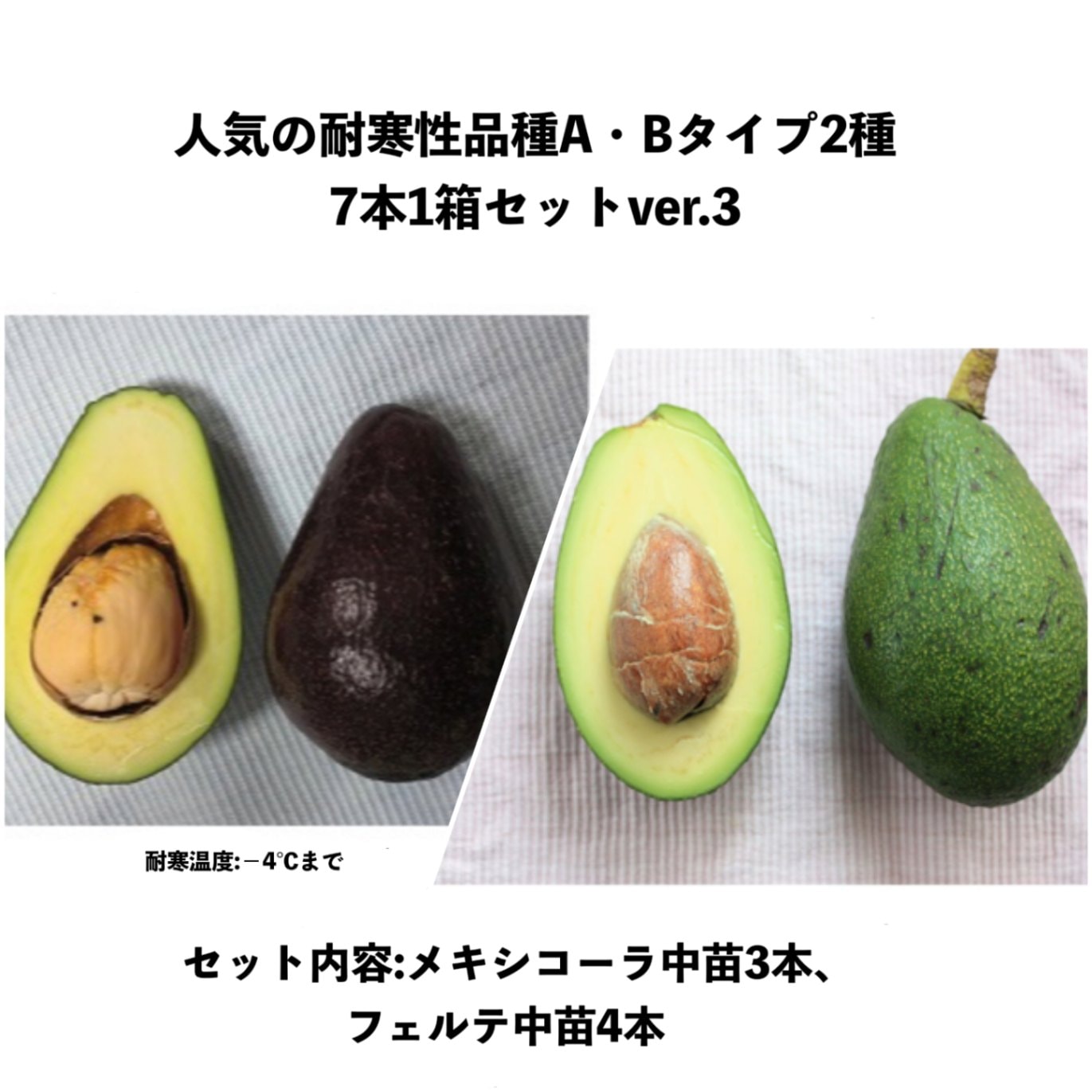 感謝報恩 アボカド フェルテ - 通販 - lemilu.uy