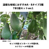 ȤϰˤABףܣȢåver.1ʥԥ󥫡ȥ,ɥΡ룳ܡˡåܥ