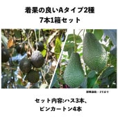 ̤ɤAףܣȢåȡʥϥ,ԥ󥫡ȥܡˡåܥ